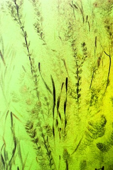 N 043B